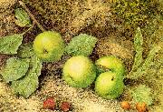 Hill, John William Still Life with Fruit and Fly oil painting picture wholesale